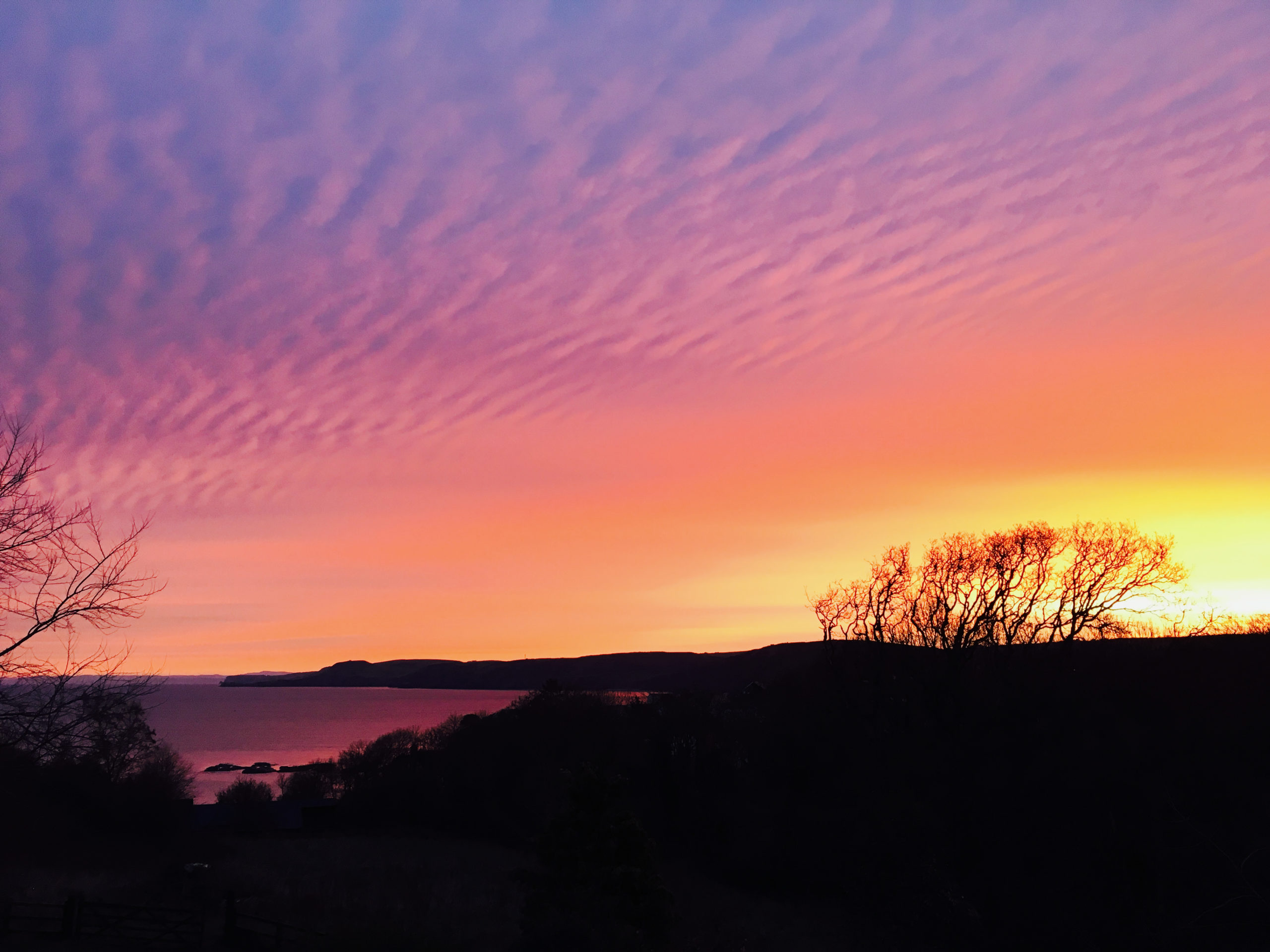 Coastal path at sunset