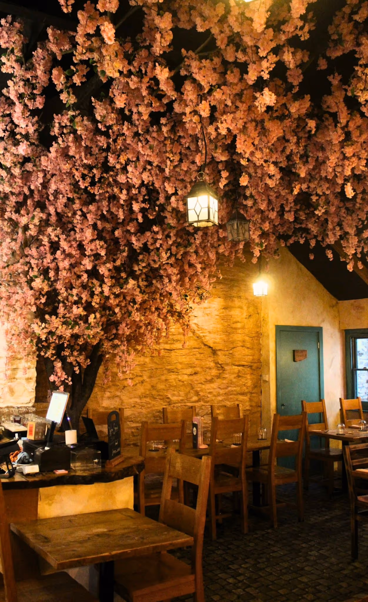 Mannucci&rsquo;s, Cardigan